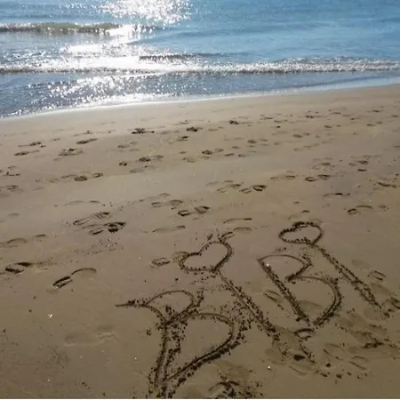 Comfy Family In - Beahost