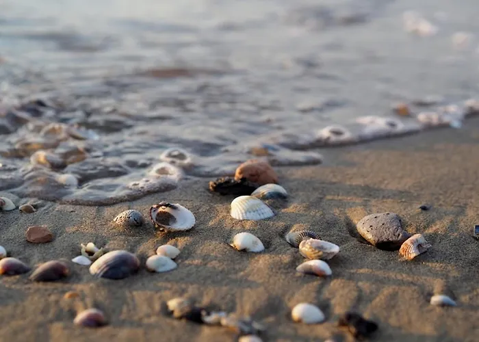 Comfy Family In - Beahost Apartman *