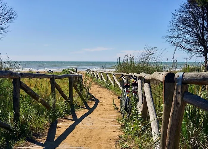 Comfy Family In - Beahost