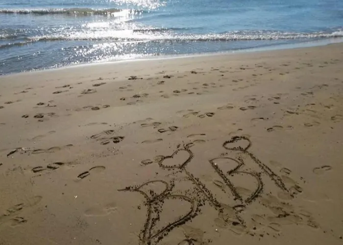 Comfy Family In - Beahost