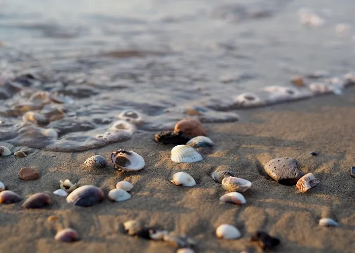 Comfy Family In - Beahost *